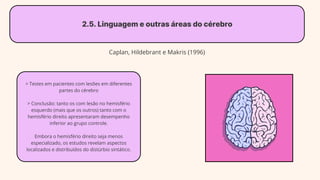 2.5. Linguagem e outras áreas do cérebro
Caplan, Hildebrant e Makris (1996)
> Testes em pacientes com lesões em diferentes
partes do cérebro
> Conclusão: tanto os com lesão no hemisfério
esquerdo (mais que os outros) tanto com o
hemisfério direito apresentaram desempenho
inferior ao grupo controle.
Embora o hemisfério direito seja menos
especializado, os estudos revelam aspectos
localizados e distribuídos do distúrbio sintático.
 