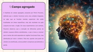 1.Campo agregado
A hipótese do campo agregado, proposta por Pierre Flourens,
defende que o cérebro funciona como uma unidade integrada,
ou seja, que as funções mentais superiores não estão
localizadas em áreas específicas, mas são resultado da ação
conjunta de todo o órgão. Em seus experimentos com animais,
Flourens observou que a remoção de diferentes partes do
cérebro causava efeitos semelhantes, o que o levou a concluir
que a mente não está separada em regiões funcionais fixas, mas
distribuída por todo o cérebro. Para ele, quando uma parte do
cérebro era danificada, outras podiam compensar parcialmente a
perda.
 