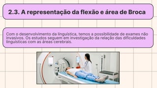 2.3. A representação da flexão e área de Broca
Com o desenvolvimento da linguística, temos a possibilidade de exames não
invasivos. Os estudos seguem em investigação da relação das dificuldades
linguísticas com as áreas cerebrais.
 