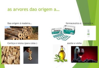 as arvores dao origem a…
Dao origem á madeira… fermaceutica e cosmetica
Cortiça e resina (para colas ) azeite e vinho
 