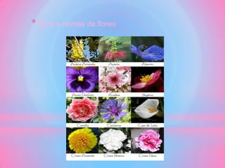 *Tipos e nomes de flores
 
