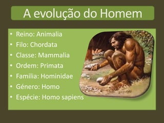 A evolução do Homem
•   Reino: Animalia
•   Filo: Chordata
•   Classe: Mammalia
•   Ordem: Primata
•   Familia: Hominidae
•   Género: Homo
•   Espécie: Homo sapiens
 