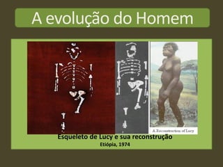 A evolução do Homem




   Esqueleto de Lucy e sua reconstrução
                Etiópia, 1974
 