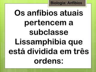Biologia: Anfíbios

Os anfíbios atuais
pertencem a
subclasse
Lissamphibia que
está dividida em três
ordens:

 
