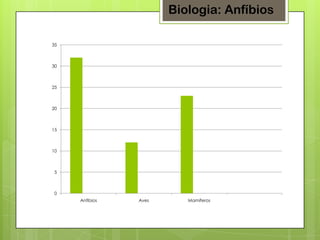Biologia: Anfíbios
35

30

25

20

15

10

5

0
Anfibios

Aves

Mamíferos

 