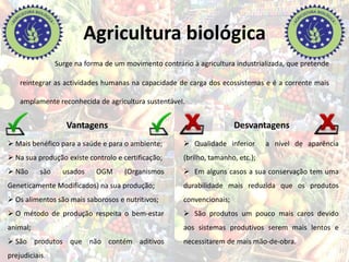 Agricultura biológica
Surge na forma de um movimento contrário à agricultura industrializada, que pretende
reintegrar as actividades humanas na capacidade de carga dos ecossistemas e é a corrente mais
amplamente reconhecida de agricultura sustentável.
Vantagens
 Mais benéfico para a saúde e para o ambiente;
 Na sua produção existe controlo e certificação;
 Não são usados OGM (Organismos
Geneticamente Modificados) na sua produção;
 Os alimentos são mais saborosos e nutritivos;
 O método de produção respeita o bem-estar
animal;
 São produtos que não contém aditivos
prejudiciais.
Desvantagens
 Qualidade inferior a nível de aparência
(brilho, tamanho, etc.);
 Em alguns casos a sua conservação tem uma
durabilidade mais reduzida que os produtos
convencionais;
 São produtos um pouco mais caros devido
aos sistemas produtivos serem mais lentos e
necessitarem de mais mão-de-obra.
 