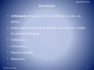 Introdução
• Arthropoda (do grego arthros, articulação, e podos, pé,
perna);
• Grupo mais diversificado do planeta, com mais de 1 milhão
de espécies catalogadas;
• Triblásticos;
• Celomados;
• Simetria bilateral;
• Metameria;
2
Hickman, et al, 2009
CRUSTÁCEA
 