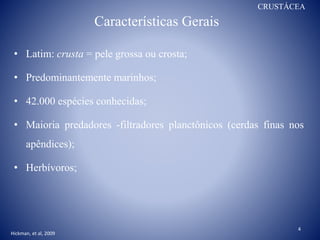 Características Gerais
• Latim: crusta = pele grossa ou crosta;
• Predominantemente marinhos;
• 42.000 espécies conhecidas;
• Maioria predadores -filtradores planctônicos (cerdas finas nos
apêndices);
• Herbívoros;
CRUSTÁCEA
Hickman, et al, 2009
4
 