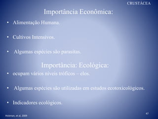 Importância Econômica:
CRUSTÁCEA
• Alimentação Humana.
• Cultivos Intensivos.
• Algumas espécies são parasitas.
• ocupam vários níveis tróficos – elos.
• Algumas espécies são utilizadas em estudos ecotoxicológicos.
• Indicadores ecológicos.
Importância: Ecológica:
Hickman, et al, 2009
47
 