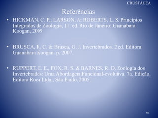 Referências
CRUSTÁCEA
• HICKMAN, C. P.; LARSON, A; ROBERTS, L. S. Princípios
Integrados de Zoologia, 11. ed. Rio de Janeiro: Guanabara
Koogan, 2009.
• BRUSCA, R. C. & Brusca, G. J. Invertebrados. 2 ed. Editora
Guanabara Koogan. p. 2007.
• RUPPERT, E. E., FOX, R. S. & BARNES, R. D. Zoologia dos
Invertebrados: Uma Abordagem Funcional-evolutiva. 7a. Edição,
Editora Roca Ltda., São Paulo. 2005.
48
 