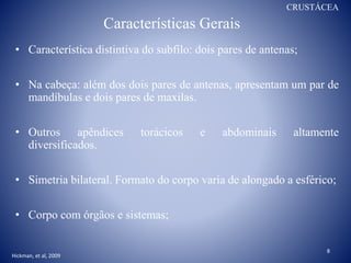 Características Gerais
• Característica distintiva do subfilo: dois pares de antenas;
• Na cabeça: além dos dois pares de antenas, apresentam um par de
mandíbulas e dois pares de maxilas.
• Outros apêndices torácicos e abdominais altamente
diversificados.
• Simetria bilateral. Formato do corpo varia de alongado a esférico;
• Corpo com órgãos e sistemas;
CRUSTÁCEA
Hickman, et al, 2009
8
 