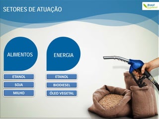 SETORES DE ATUAÇÃO




 ALIMENTOS      ENERGIA


  ETANOL        ETANOL

   SOJA        BIODIESEL
   MILHO      ÓLEO VEGETAL




                             2
 