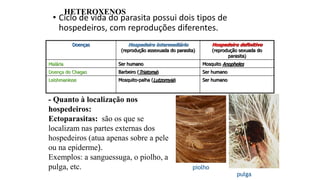 • Ciclo de vida do parasita possui dois tipos de
hospedeiros, com reproduções diferentes.
Doenças Hospedeiro intermediário
(reprodução assexuada do parasita)
Hospedeiro definitivo
(reprodução sexuada do
parasita)
Malária Ser humano Mosquito Anopheles
Doença de Chagas Barbeiro (Triatoma) Ser humano
Leishmaniose Mosquito-palha (Lutzomyia) Ser humano
HETEROXENOS
- Quanto à localização nos
hospedeiros:
Ectoparasitas: são os que se
localizam nas partes externas dos
hospedeiros (atua apenas sobre a pele
ou na epiderme).
Exemplos: a sanguessuga, o piolho, a
pulga, etc. piolho
pulga
 