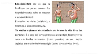 Aula 1- Introdução à parasitologia
PARASITOLOGIA BÁSICA
Endoparasitas: são os que se
localizam nas partes internas dos
hospedeiros (atua sobre as mucosas
e tecidos internos)
Exemplos: as tênias (solitárias), a
lombriga, o esquistossomo, etc.
No ambiente (formas de resistência ou formas de vida livre dos
parasitas) É o caso das larvas de moscas que podem desenvolver-se
tanto em feridas necrosadas (como parasitas) ou em matéria
orgânica em estado de decomposição (como larvas de vida livre).
esquistossomose
 
