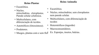 Reino Plantae
• Eucariótica.
• Núcleo,
mitocôndrias, cloroplastos.
Parede celular celulósica.
• Multicelulares, com
diferenciação de tecidos.
• Autotróficos (fotossíntese).
• Produtores.
• Musgos, plantas com e sem flor.
Reino Animalia
• Eucariótica.
• Núcleo, mitocôndrias; sem cloroplastos
nem parede celular.
• Multicelulares, com diferenciação de
tecidos
• Heterotróficos (ingestão)
• Macroconsumidores.
• Ex. Esponjas, insetos, baleias.
 