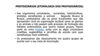 PROTOZOÁRIOS (ETIMOLOGIA DOS PROTOZOÁRIOS)
• Sao organismos unicelulares, eucariotas, heterotroficos,
protistas semelhantes a animais . Segundo Brusca &
Brusca, protozoários são os seres Eucariontes que não
apresentam nível de organização tecidual como as plantas
e os animais e não passam pelo processo de formação dos
folhetos embrionários que ocorre nesses grupos, Fazem
parte do reino Protista, junto com as algas unicelulares
crisófitas, euglenófitas e pirrófitas de acordo com suas
semelhanças mais evidentes.
• Os protozoários são classicamente em quatro grupos de
acordo com o seu meio de locomoção.
 