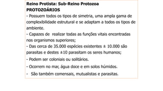 Reino Protista: Sub-Reino Protozoa
PROTOZOÁRIOS
- Possuem todos os tipos de simetria, uma ampla gama de
complexibilidade estrutural e se adaptam a todos os tipos de
ambiente.
- Capazes de realizar todas as funções vitais encontradas
nos organismos superiores;
- Das cerca de 35.000 espécies existentes ± 10.000 são
parasitas e destes ±10 parasitam os seres humanos;
- Podem ser coloniais ou solitários.
- Ocorrem no mar, água doce e em solos húmidos.
- São também comensais, mutualistas e parasitas.
 