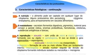 Introdução à protozoologia
Reino Protista: Sub-Reino Protozoa
PROTOZOÁRIOS
Universidade Federal do Rio de Janeiro – Profa. Marise da Silva Mattos- Curso de Parasitologia – Módulo de Protozoologia
Características dos protozoários
2. Características fisiológicas - continuação
O metabolismo – secretam fermentos digestivos, pigmentos, material para
compor a parede cística, enzimas proteolíticas, hemolisinas, citolisinas,
substâncias antigênicas e tóxicas;
A reprodução – sexuada – com união de micro e macro gametas
formando ovo ou zigoto = gametogonia. O ovo se divide e gera
esporozoítos = esporogonia;
- assexuada – divisão binária ou cissiparidade;
endogenia – formação de uma ou mais células filhas por brotamento
interno; esquizogonia – divisão nuclear seguida da divisão do
citoplasma formando indivíduos isolados ou merozoítos = merogonia
A nutrição – o alimento pode ser captado em qualquer lugar do
citoplasma. Alguns protozoários têm periostoma citostoma
endoplasma, para armazenamento em vacúolos alimentares
 