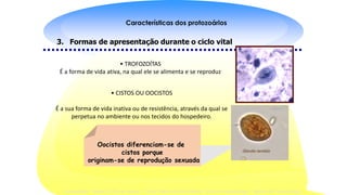 Introdução à protozoologia
Reino Protista: Sub-Reino Protozoa
PROTOZOÁRIOS
•Organismos eucariotos unicelulares;
•Capazes de realizar todas as funções vitais
encontradas nos organismos superiores;
•Das cerca de 35.000 espécies existentes ± 10.000 são parasitas e
destes ±10 parasitam os seres humanos;
Universidade Federal do Rio de Janeiro – Profa. Marise da Silva Mattos- Curso de Parasitologia – Módulo de Protozoologia
Características dos protozoários
3. Formas de apresentação durante o ciclo vital
• TROFOZOÍTAS
É a forma de vida ativa, na qual ele se alimenta e se reproduz
• CISTOS OU OOCISTOS
É a sua forma de vida inativa ou de resistência, através da qual se
perpetua no ambiente ou nos tecidos do hospedeiro.
Oocistos diferenciam-se de
cistos porque
originam-se de reprodução sexuada
 