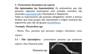 3 - Protozoários formadores de esporos
Filo Apicomplexa (ou Esporozoários): Os protozoários que não
possuem organelas locomotoras nem vacúolos contrateis são
chamados esporozoáriosEx: Plasmodium e Toxoplasma
Todos os esporozoários são parasitas obrigatórios. Porém é preciso
lembrar que esses grupos não representam a origem evolutiva dos
organismos, pois não são grupos monofiléticos.
Exemplo: Plasmodium spp
- Muitos filos, parasitas que possuem estágios infectantes como
esporos.
3.1 - Filo Apicomplexa - protozoários parasitas que produzem
esporos. Sem filamento polar
Plasmodium spp
 
