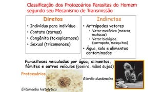 Diretos
• Indivíduo para indivíduo
• Contato (sarnas)
• Congênita (toxoplasmose)
• Sexual (tricomonose)
Indiretos
• Artrópodes vetores
• Vetor mecânico (moscas,
mutucas)
• Vetor biológico
(carrapato, mosquitos)
• Água, solo e alimentos
contaminados
Classificação dos Protozoários Parasitas do Homem
segundo seu Mecanismo de Transmissão
Parasitoses veiculadas por água, alimentos,
fômites e outros veículos (poeira, mãos sujas)
Entamoeba histolytica
Giardia duodenales
Protozoários
 