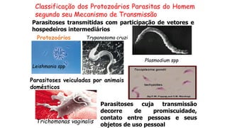 Classificação dos Protozoários Parasitas do Homem
segundo seu Mecanismo de Transmissão
Parasitoses transmitidas com participação de vetores e
hospedeiros intermediários
Protozoários
Leishmania spp
Trypanosoma cruzi
Plasmodium spp
Parasitoses veiculadas por animais
domésticos
Parasitoses cuja transmissão
decorre de promiscuidade,
contato entre pessoas e seus
objetos de uso pessoal
Trichomonas vaginalis
 