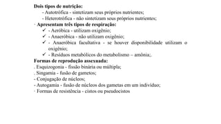 Dois tipos de nutrição:
- Autotrófica - sintetizam seus próprios nutrientes;
- Heterotrófica - não sintetizam seus próprios nutrientes;
· Apresentam três tipos de respiração:
 - Aeróbica - utilizam oxigênio;
 - Anaeróbica - não utilizam oxigênio;
 - Anaeróbica facultativa - se houver disponibilidade utilizam o
oxigênio;
 - Resíduos metabólicos do metabolismo – amônia;.
Formas de reprodução assexuada:
. Esquizogonia - fissão binária ou múltipla;
. Singamia - fusão de gametos;
- Conjugação de núcleos;
- Autogamia - fusão de núcleos dos gametas em um indivíduo;
· Formas de resistência - cistos ou pseudocistos
 