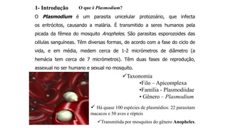 O que é Plasmodium?
Taxonomia
•Filo – Apicomplexa
•Família - Plasmodiidae
• Gênero – Plasmodium
Transmitida por mosquitos do gênero Anopheles.
 Há quase 100 espécies de plasmódios: 22 parasitam
macacos e 50 aves e répteis
O Plasmodium é um parasita unicelular protozoário, que infecta
os eritrócitos, causando a malária. É transmitido a seres humanos pela
picada da fêmea do mosquito Anopheles. São parasitas esporozoides das
células sanguíneas. Têm diversas formas, de acordo com a fase do ciclo de
vida, e em média, medem cerca de 1-2 micrómetros de diâmetro (a
hemácia tem cerca de 7 micrómetros). Têm duas fases de reprodução,
assexual no ser humano e sexual no mosquito.
1- Introdução
 
