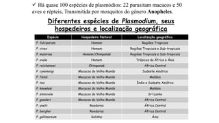 Espécie Hospedeiro Natural Localização geográfica
P. falciparum Homem Regiões Tropicais
P. vivax Homem Regiões Tropicais e Sub-tropicais
P. malariae Homem/Chimpanzé Regiões Tropicais e Sub-tropicais
P. ovale Homem Trópicos da África e Ásia
P. reichenowi Chimpanzé África Central
P. cynomolgi Macacos do Velho Mundo Sudeste Asiático
P. fieldi Macacos do Velho Mundo Malásia
P. inui Macacos do Velho Mundo Índia e Sudeste Asiático
P. knowlesi Macacos do Velho Mundo Malásia
P. simiovale Macacos do Velho Mundo Sri Lanka
P. gonderi Macacos do Velho Mundo África Central
P. yoelii Roedores África Central
P. berghei Roedores África Central
P. gallinaceum Galinha Ásia
Diferentes espécies de Plasmodium, seus
hospedeiros e localização geográfica
 Há quase 100 espécies de plasmódios: 22 parasitam macacos e 50
aves e répteis, Transmitida por mosquitos do gênero Anopheles.
 