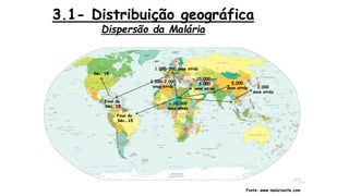 3.1- Distribuição geográfica
Dispersão da Malária
> 10.000
anos atrás
10.000-
5.000
anos atrás
5.000
anos atrás
1.000-500 anos atrás
Séc. 18
Final do
Séc. 15
Final do
Séc. 15
2,500-2.000
anos atrás 2.000
anos atrás
Fonte: www.malariasite.com
 