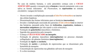 No caso da malária humana, o ciclo parasitário começa com o CICLO
ASSEXUADO quando o mosquito pica o homem e inocula juntamente com a sua
saliva as formas infectantes do Plasmodium, os esporozoitas no sistema
circulatório (sangue) do homem.
- Ocorre invasão e multiplicação assexuada (Ciclo Pré-eritrocítico) no interior
das células hepáticas.
- Disseminação das formas infectantes para as hemácias (merozoitas).
- Invasão e multiplicação assexuada dos parasitas (Ciclo eritrocítico) no interior
das hemácias, passando pelas fases de trofozoitas, esquizontes, rosáseas e
merozoitas sanguíneos que irão repetir o ciclo eritrocítico.
- Formação de gametócitos masculinos e femininos.
- Ingestão dos gametócitos pelo mosquito.
- Começa o CILCO SEXUADO no mosquito.
- Formação de gâmetas masculinos (microgâmetas) no processo chamado
exflagelação e de gâmetas femininos (macrogâmetas).
- Formação do zigoto ou oocineto.
- Formação de oocisto e produção de esporozoitas que se disseminam pela
hemolinfa do mosquito.
- Concentração de esporozoitas nas glândulas salivares do mosquito
- E o cilco recomeça.
 