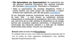 • Filo Apicomplexa (ou Esporozoários): Os protozoários que
não possuem organelas locomotoras nem vacúolos contrateis
são chamados esporozoáriosEx: Plasmodium e Toxoplasma
• Todos os esporozoários são parasitas obrigatórios. Porém é
preciso lembrar que esses grupos não representam a origem
evolutiva dos organismos, pois não são grupos monofiléticos.
Só por abstração podemos compreender seres vivos dissociados
do meio. Pois, o meio fornece as substâncias químicas
indispensáveis à constituição do protoplasma, bem como a energia
que, sob forma de luz solar utilizada na fotossíntese ou de energia
química dos compostos orgânicos (alimentos), é indispensável à
conservação das estruturas celulares e a todo tipo de trabalho
desenvolvido pelas células, inclusive sua reprodução.
Relação entre os seres vivos(Parasitismo)
É a relação entre os seres vivos onde um organismo (parasita) não só
vive às custas de outro organismo (hospedeiro), mas, também,
depende bioquímicamente dele.
 