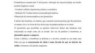 Citoaderência causada pelo P. falciparum: obstrução da microcirculação em tecido
cerebral, hepático e renal.
– Cerebral: cefaléia, hipertermia,vômitos e sonolência
– Redução O2: Acidose láctica ocasionada pela hipóxia.
• Deposição de imunocomplexos nos glomérulos
É dentro das hemácias, no entanto, que o parasita executa proezas que lhe permitem
se manter vivo e se livrar do lixo tóxico que ele próprio produz ao se nutrir.
O mecanismo que possibilita ao parasita sobreviver dentro das hemácias está
relacionado ao modo como ele as invade. Em vez de perfurar a membrana, o
plasmódio apenas a empurra.
Como é elástica, a membrana se deforma e o envolve, criando ao seu redor uma
bolsa em que a concentração de cálcio é mais elevada do que no interior da
célula e mimetiza a do plasma sanguíneo.
 