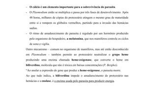 - O cálcio é um elemento importante para a sobrevivência do parasita.
- O Plasmodium então se multiplica e passa por três fases de desenvolvimento. Após
48 horas, milhares de cópias do protozoário atingem o mesmo grau de maturidade
entre si e rompem os glóbulos vermelhos, partindo para a invasão das hemácias
sadias.
- O ritmo de amadurecimento do parasita é regulado por um hormônio produzido
pelo organismo do hospedeiro, a melatonina, que nos mamíferos controla os ciclos
de sono e vigília.
Outro mecanismo – comum no organismo de mamíferos, mas até então desconhecido
em Plasmodium – também permite ao protozoário neutralizar o grupo heme
produzindo uma enzima chamada heme-oxigenase, que converte o heme em
biliverdina, molécula que não é tóxica em baixas concentrações (P. Berghei).
“Ao anular a expressão do gene que produz a heme-oxigenase, o parasita morre.
Ao que tudo indica, a biliverdina impede o amadurecimento do protozoário nas
hemácias e a enolase, é a enzima usada pelo parasita para produzir energia.
 