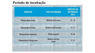 Período de incubação
 