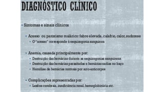 Apresentação1, 2 e 3.pdf aula de anatomia