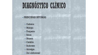 Apresentação1, 2 e 3.pdf aula de anatomia
