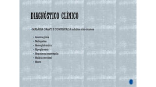 Apresentação1, 2 e 3.pdf aula de anatomia