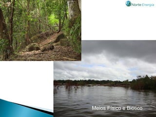 Meios Físico e Biótico
 