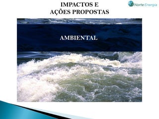 IMPACTOS E
AÇÕES PROPOSTAS



  AMBIENTAL
 