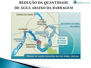 REDUÇÃO DA QUANTIDADE
DE ÁGUA ABAIXO DA BARRAGEM
 
