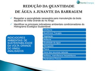 REDUÇÃO DA QUANTIDADE
    DE ÁGUA A JUSANTE DA BARRAGEM
 Respeitar a sazonalidade necessária para manutenção da biota
  aquática na Volta Grande do rio Xingu
 Identificar os principais indicadores ambientais condicionadores do
  Hidrograma Ecológico Sustentável.
 