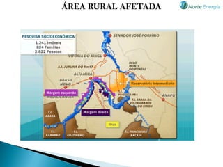 ÁREA RURAL AFETADA
 