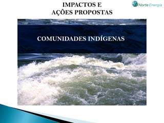 IMPACTOS E
   AÇÕES PROPOSTAS



COMUNIDADES INDÍGENAS
 