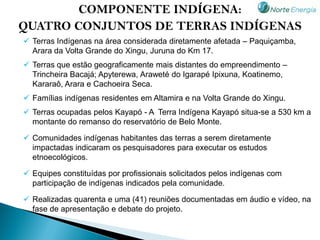 COMPONENTE INDÍGENA:
QUATRO CONJUNTOS DE TERRAS INDÍGENAS
 Terras Indígenas na área considerada diretamente afetada – Paquiçamba,
  Arara da Volta Grande do Xingu, Juruna do Km 17.
 Terras que estão geograficamente mais distantes do empreendimento –
  Trincheira Bacajá; Apyterewa, Araweté do Igarapé Ipixuna, Koatinemo,
  Kararaô, Arara e Cachoeira Seca.
 Famílias indígenas residentes em Altamira e na Volta Grande do Xingu.
 Terras ocupadas pelos Kayapó - A Terra Indígena Kayapó situa-se a 530 km a
  montante do remanso do reservatório de Belo Monte.

 Comunidades indígenas habitantes das terras a serem diretamente
  impactadas indicaram os pesquisadores para executar os estudos
  etnoecológicos.

 Equipes constituídas por profissionais solicitados pelos indígenas com
  participação de indígenas indicados pela comunidade.

 Realizadas quarenta e uma (41) reuniões documentadas em áudio e vídeo, na
  fase de apresentação e debate do projeto.
 