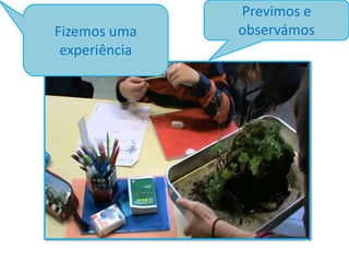 Fizemos uma
experiência

Previmos e
observámos

 