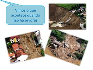 Vimos o que
acontece quando
não há árvores.

 