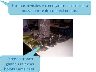 Fizemos revisões e começámos a construir a
nossa árvore de conhecimentos.

O nosso tronco
ganhou raiz e as
bolotas uma casa!

 