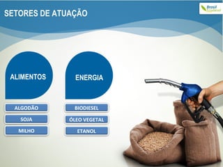 ALIMENTOS ENERGIA SETORES DE ATUAÇÃO BIODIESEL SOJA MILHO ALGODÃO ÓLEO VEGETAL ETANOL 