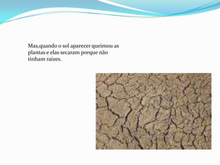 Mas,quando o sol aparecer queimou as
plantas e elas secaram porque não
tinham raízes.
 